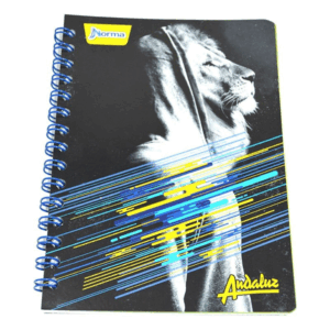 Cuaderno Jr. 100 h 4 L
