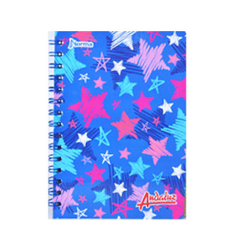 Cuaderno Jr. 100h a cuadros