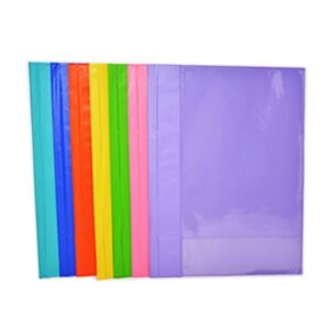 Folder pequeño Transparente